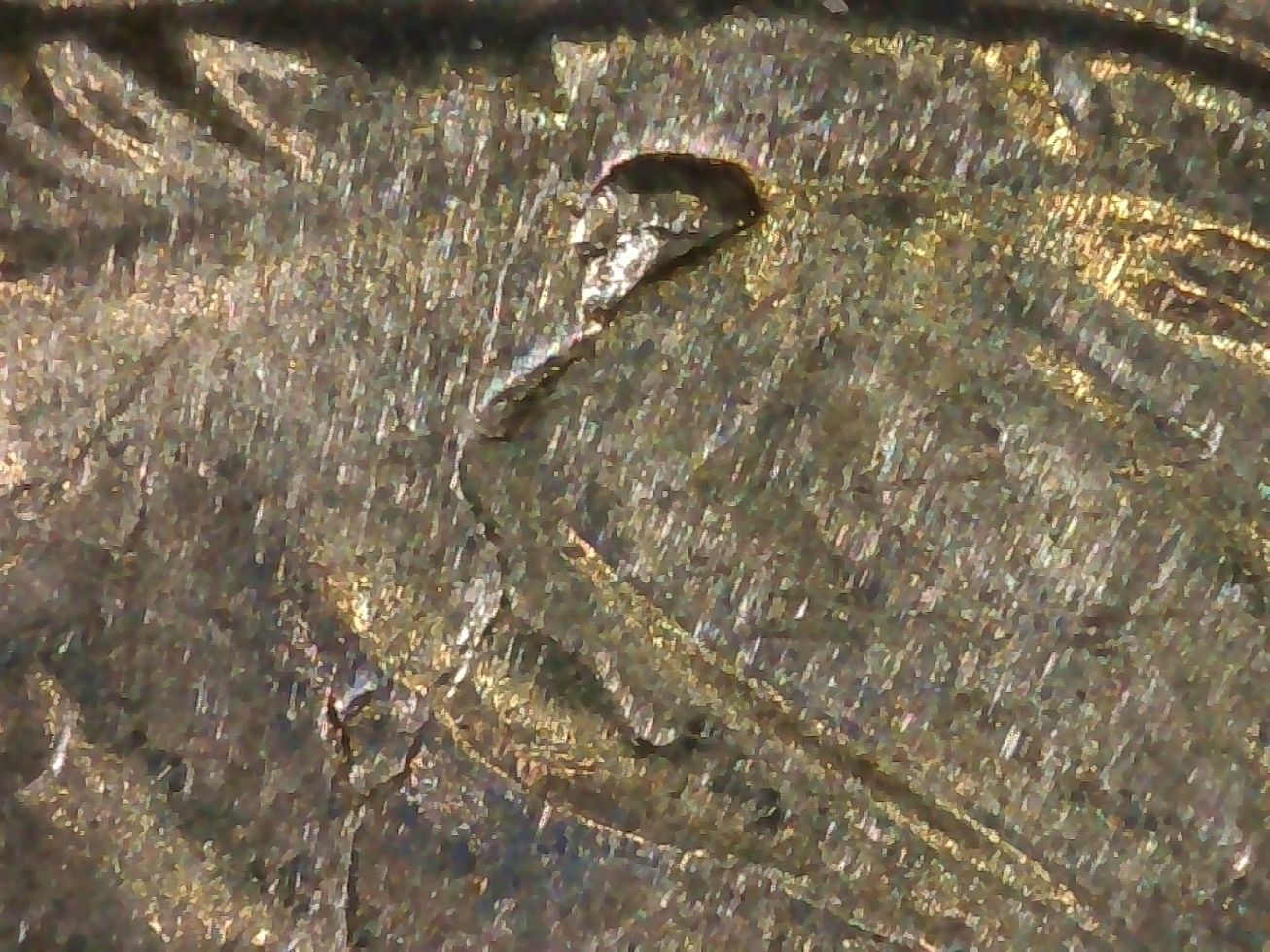 2021-Dime,-Whats-Going-On?